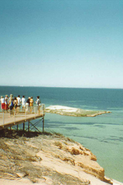 shark bay